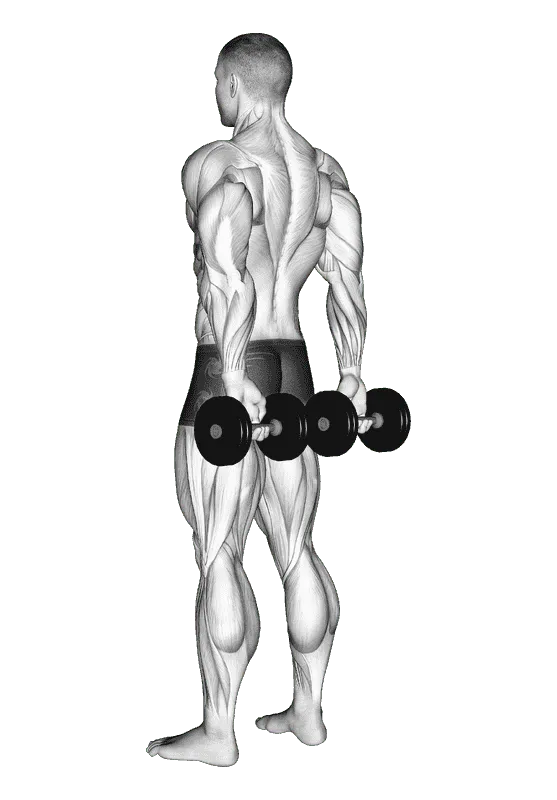 Dumbbell Behind Back Finger Curl