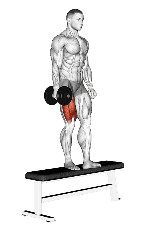 Dumbbell Bench One-Leg Squat, Male demonstration, Start