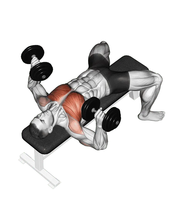 Dumbbell Bench Press