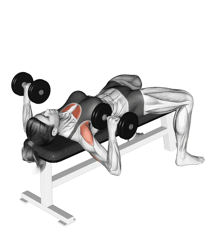 Dumbbell Bench Press, Female demonstration, Start