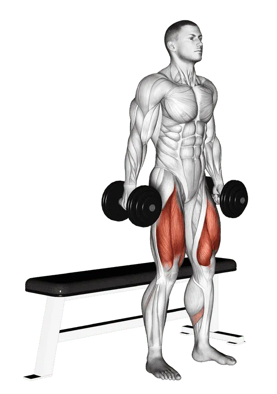 Dumbbell Bench Squat, Male demonstration, Start
