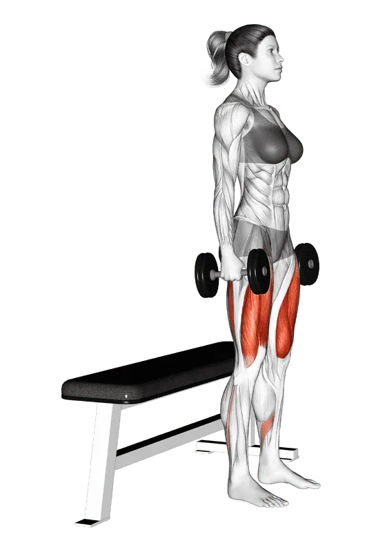 Dumbbell Bench Squat, Female demonstration, Start