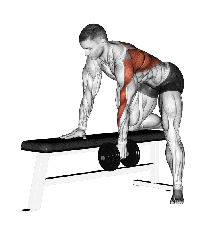 Dumbbell Bent-Over Row