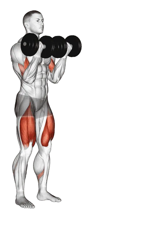 Dumbbell Bicep Curl Lunge with Bowling Motion, Male demonstration, Start