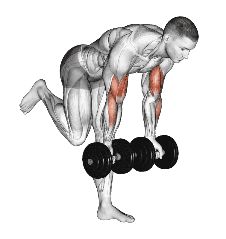 Dumbbell Bicep Curl with Stork Stance, Male demonstration, Start