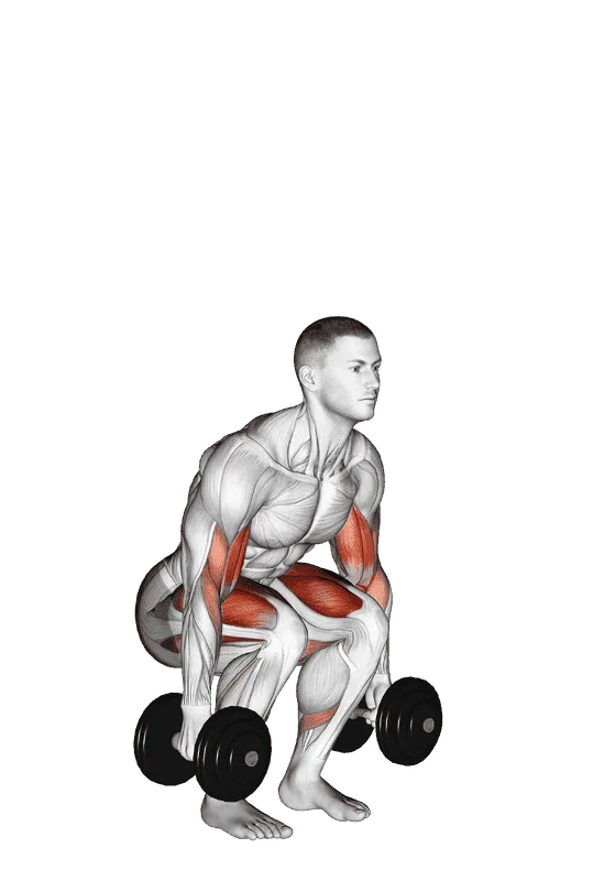 Dumbbell Biceps Curl Squat, Male demonstration, Start