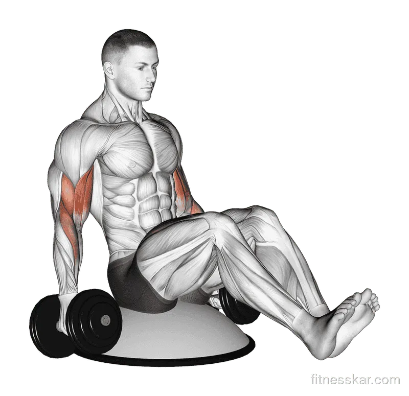 Dumbbell Biceps Curl V-Sit on Bosu Ball, Male demonstration, Start
