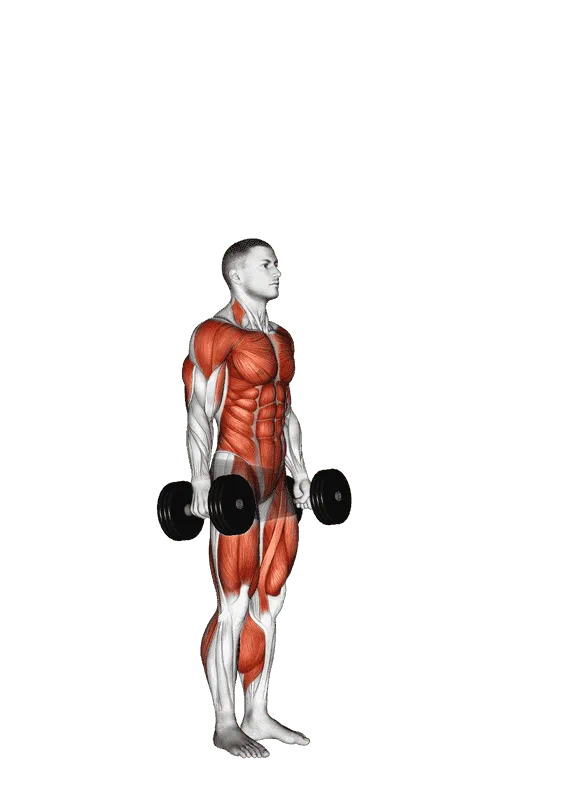 Dumbbell Burpee