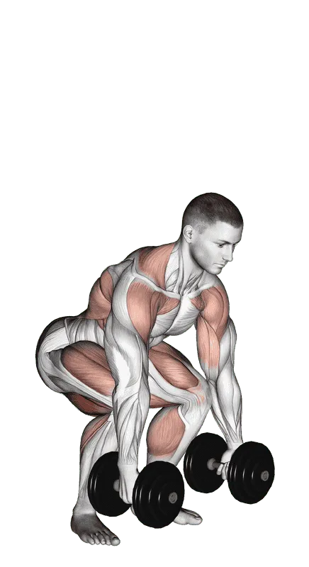 Dumbbell Clean