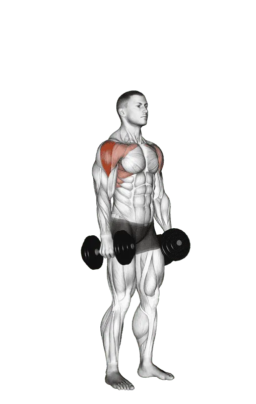 Dumbbell Cuban Press
