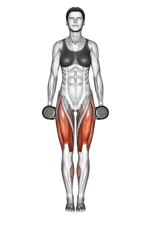 Dumbbell Curtsey Lunge