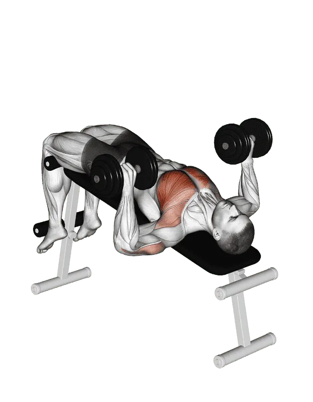 Dumbbell Decline Bench Press