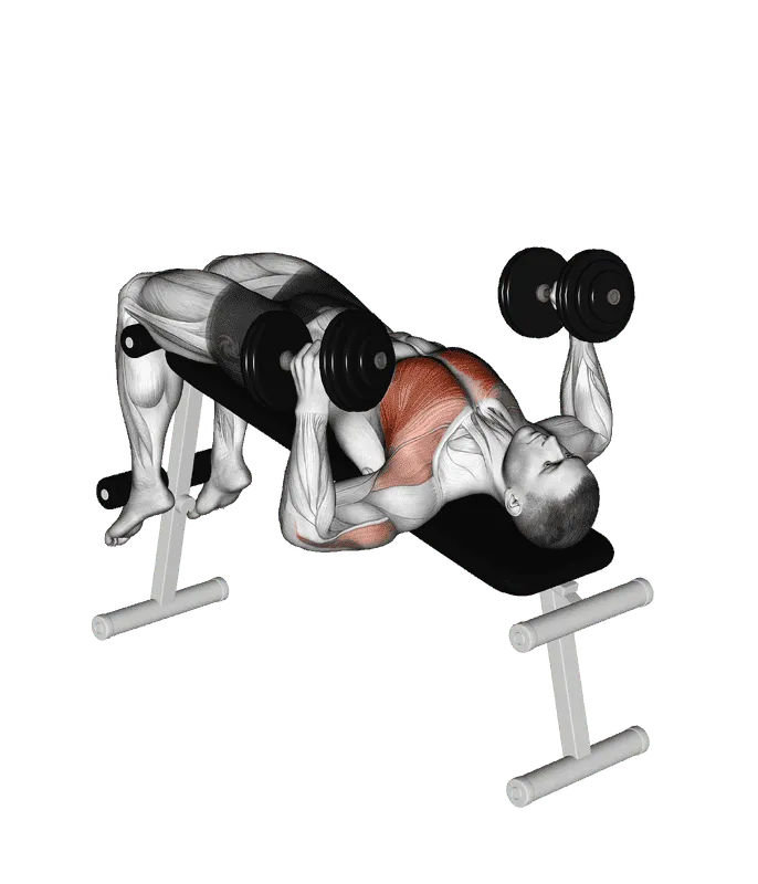 Dumbbell Decline Hammer Press