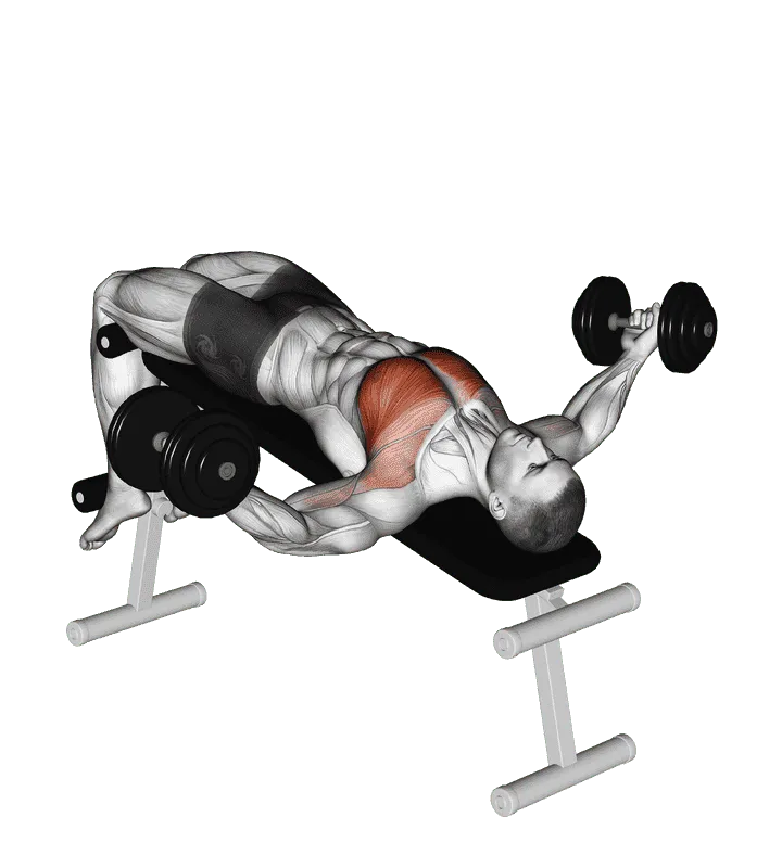 Dumbbell Decline Twist Fly