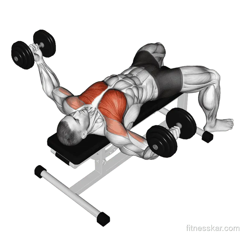 Dumbbell Fly