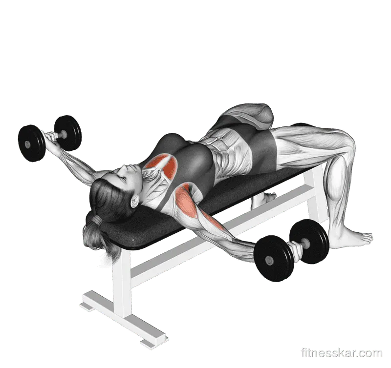 Dumbbell Fly, Female demonstration, Start