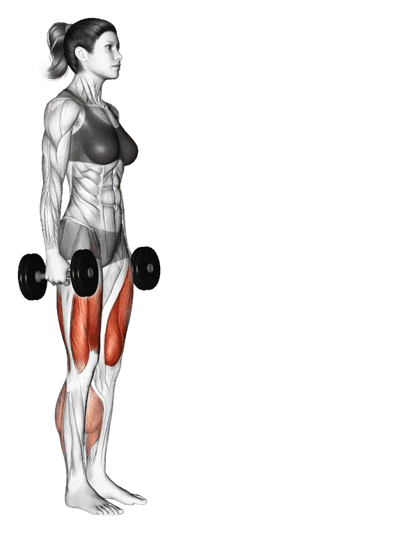 Dumbbell Forward-Leaning Lunge, Female demonstration, Start