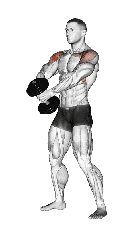 Dumbbell Front Raise