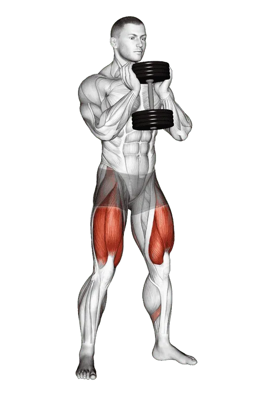 Dumbbell Goblet Squat