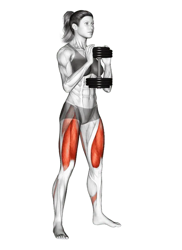 Dumbbell Goblet Squat, Female demonstration, Start
