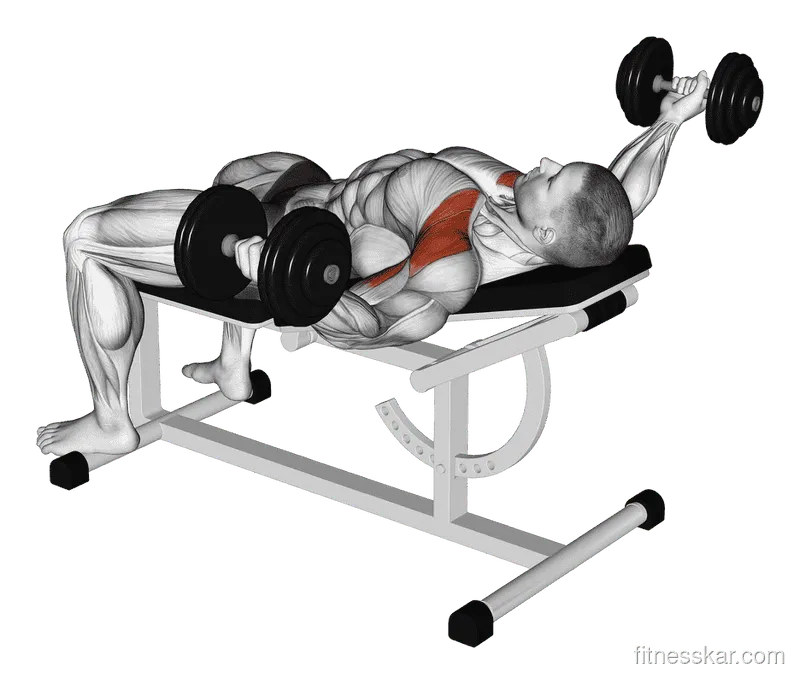 Dumbbell Incline 30-Degree Flye Hold (Isometric)