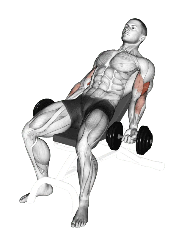 Dumbbell Incline Curl, Male demonstration, Start