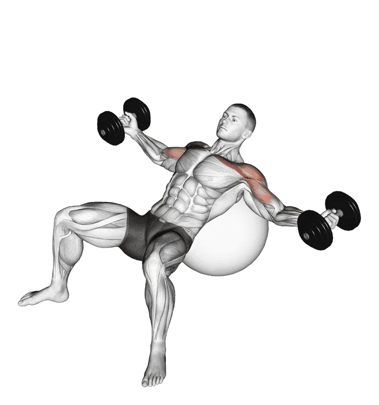 Dumbbell Incline Fly on Exercise Ball
