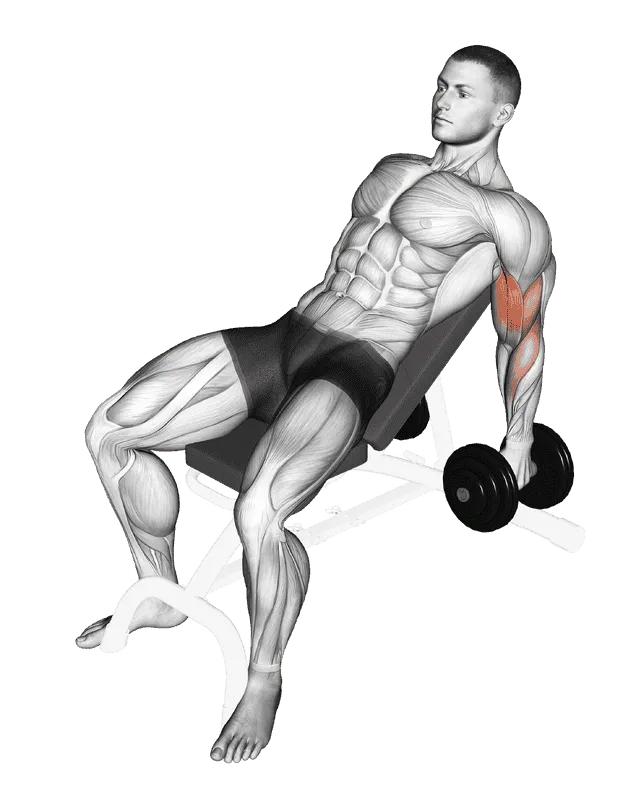 Dumbbell Incline Hammer Curl