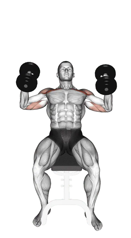 Dumbbell Incline Hammer Press