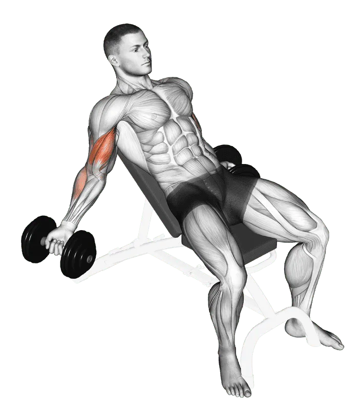 Dumbbell Incline Inner Biceps Curl