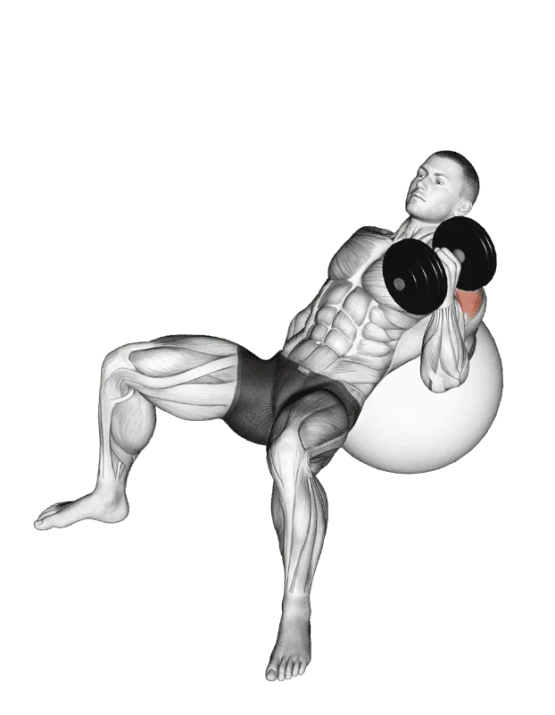 Dumbbell Incline One-Arm Hammer Press on Exercise Ball