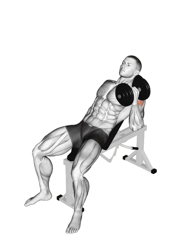 Dumbbell Incline One-Arm Hammer Press