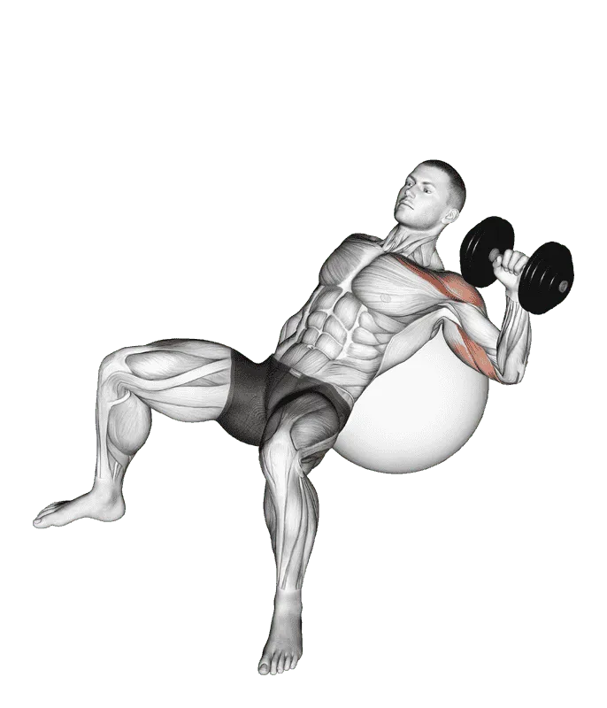 Dumbbell Incline One-Arm Press on Exercise Ball