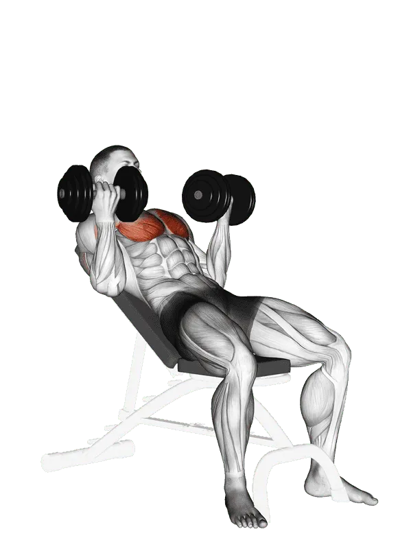Dumbbell Incline Palm-in Press