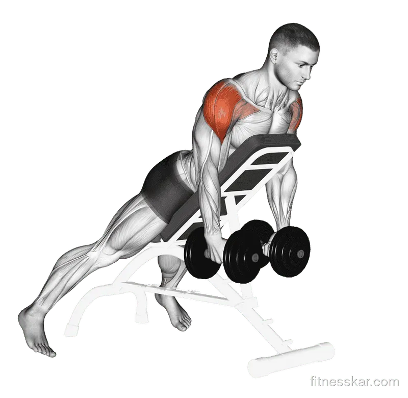 Dumbbell Incline Rear Lateral Raise