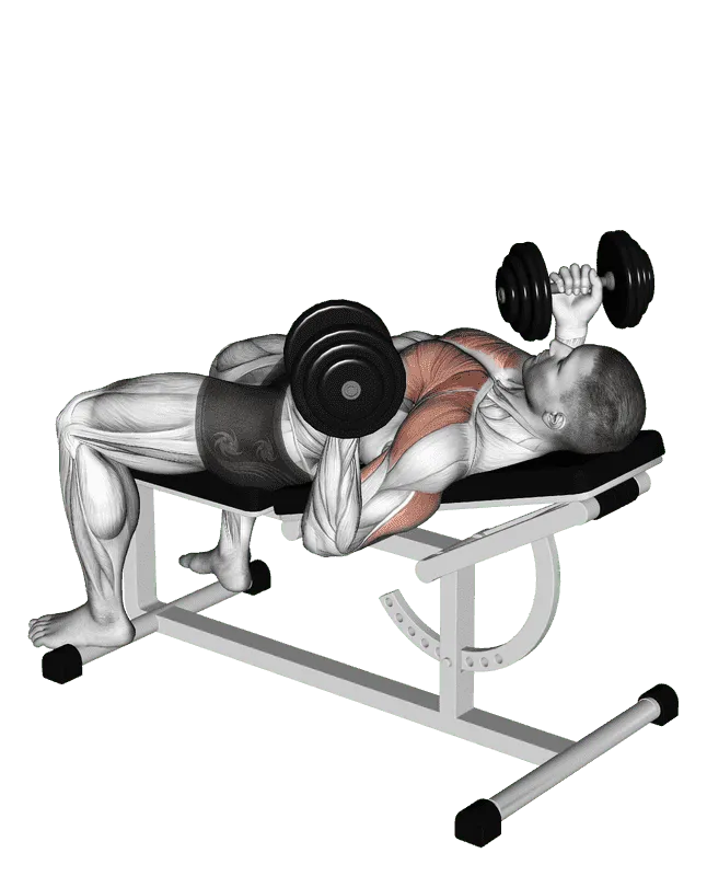 Dumbbell Incline Reverse Grip Bench Press (30 Degrees)