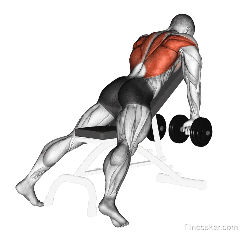 Dumbbell Incline Row