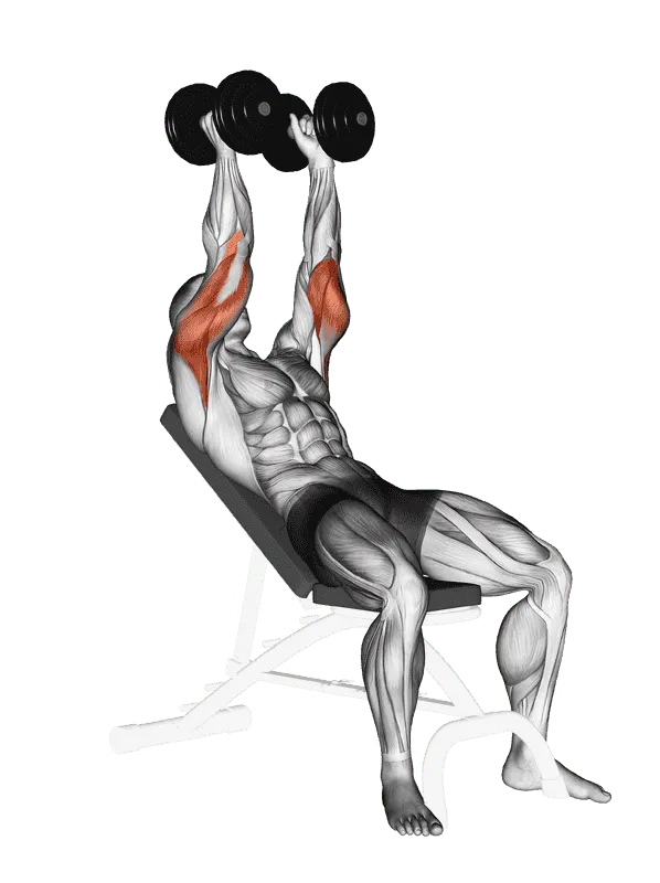 Dumbbell Incline Triceps Extension