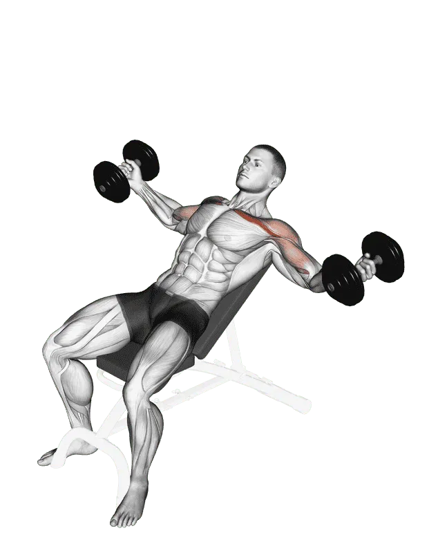 Dumbbell Incline Twisted Flyes