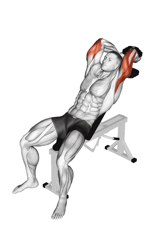 Dumbbell Incline Two-Arm Extension