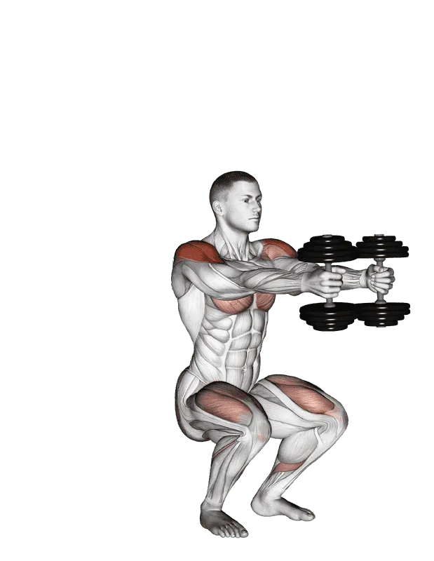 Dumbbell Iron Cross