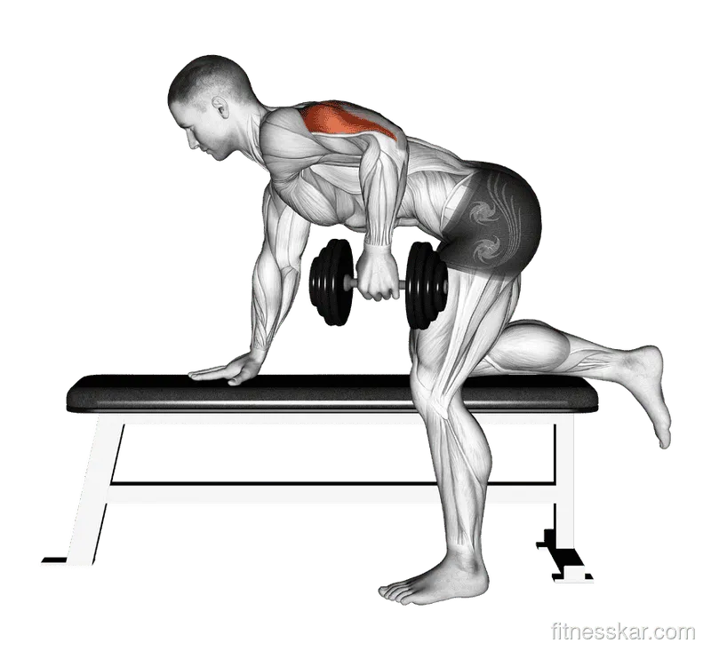 Dumbbell Kickback