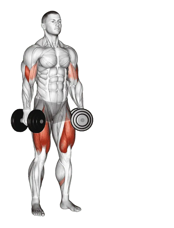 Dumbbell Lateral Lunge with Bicep Curl
