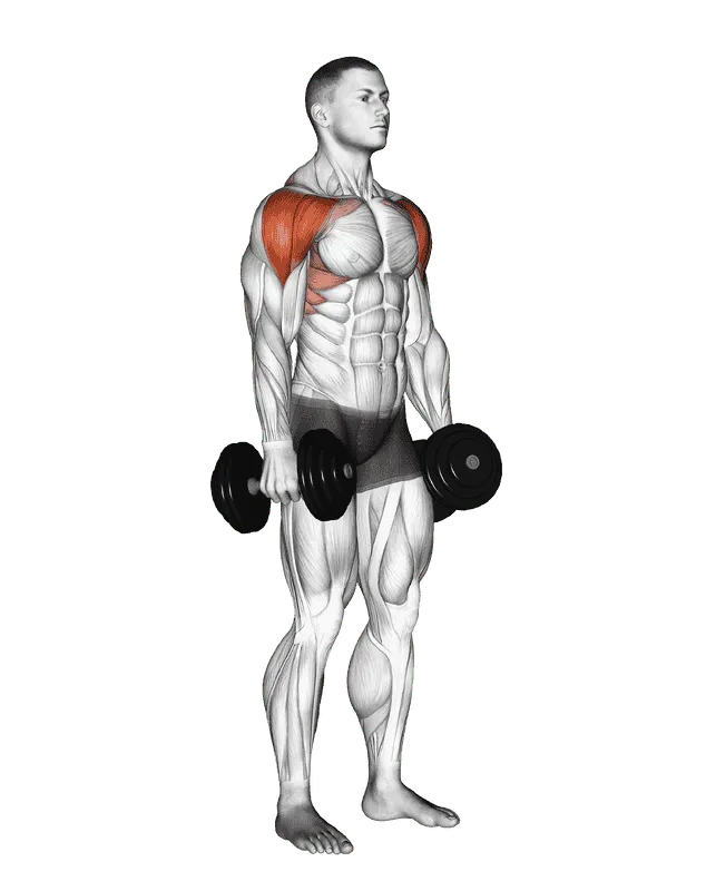 Dumbbell Lateral to Front Raise, Male demonstration, Start