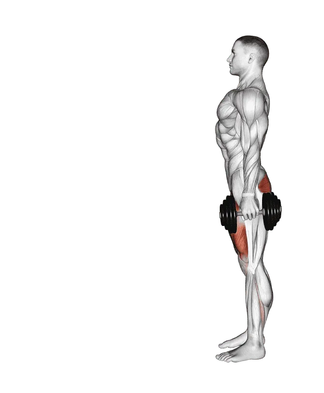 Dumbbell Lunge
