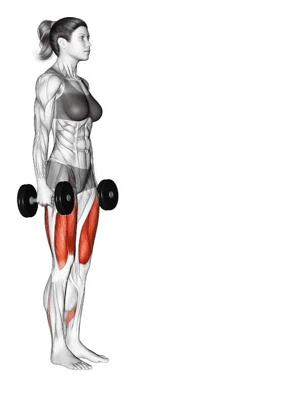 Dumbbell Lunge, Female demonstration, Start