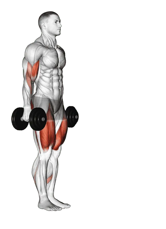 Dumbbell Lunge with Bicep Curl