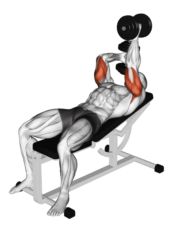 Dumbbell Lying Alternate Extension