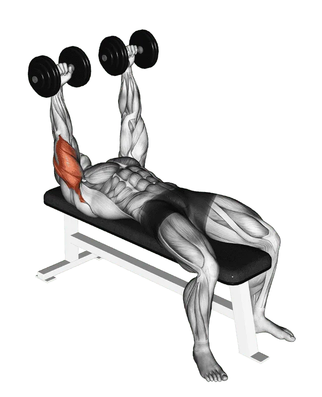 Dumbbell Lying Extension (Across Face)