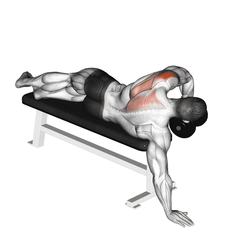 Dumbbell Lying One-Arm Rear Deltoid Raise